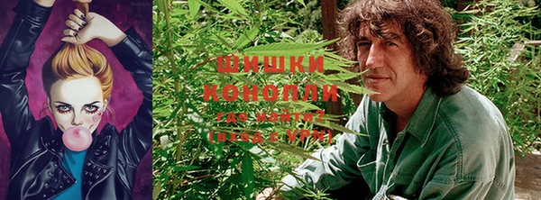 MDMA Premium VHQ Новокубанск