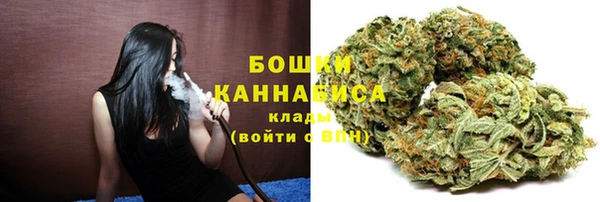 твердый Новодвинск