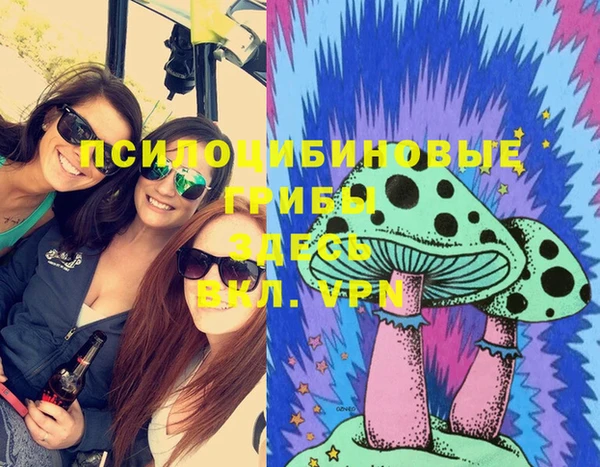 твердый Новодвинск