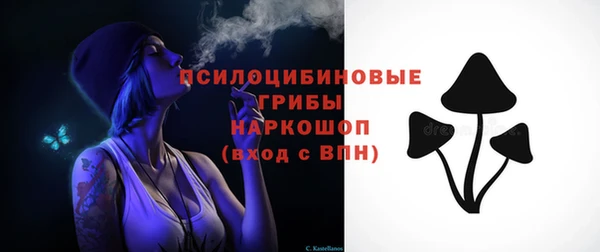 твердый Новодвинск