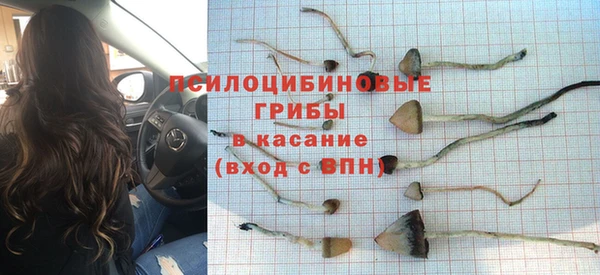 твердый Новодвинск