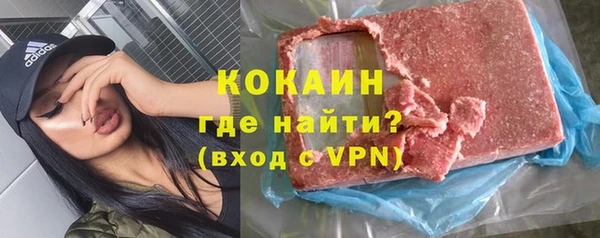 твердый Новодвинск