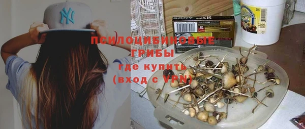 твердый Новодвинск