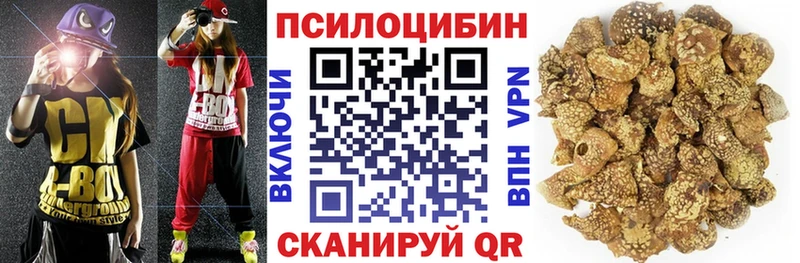 Галлюциногенные грибы Magic Shrooms Купино