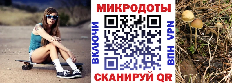 купить   Купино  Псилоцибиновые грибы мухоморы 