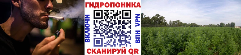 Марихуана план  где купить наркотик  Купино 